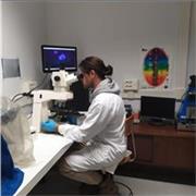 Lezioni di biologia per studenti di liceo ed istituti tecnici